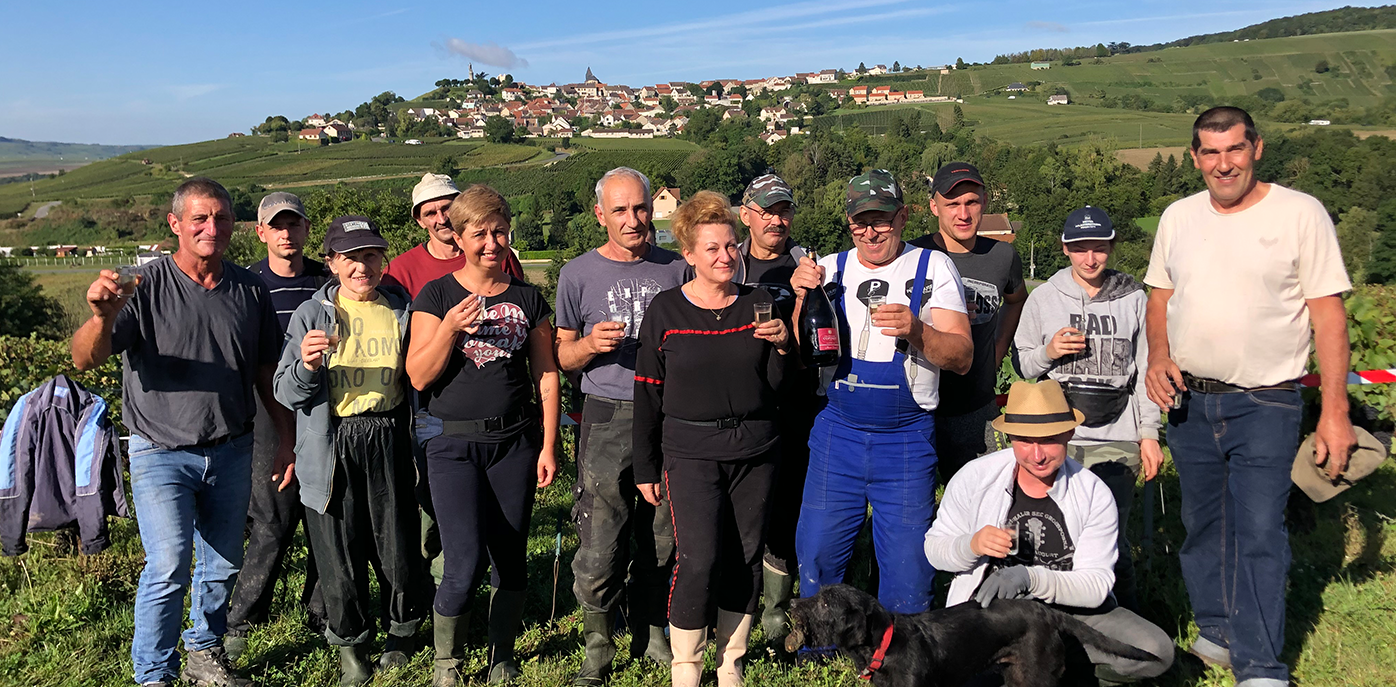 Les vendanges